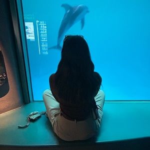 Meet your Posher, Hailey